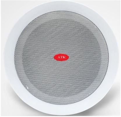 Phân loại loa âm trần cao cấp