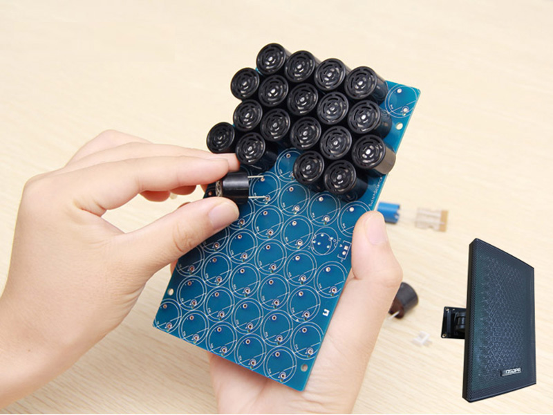 Loa siêu hướng AAV