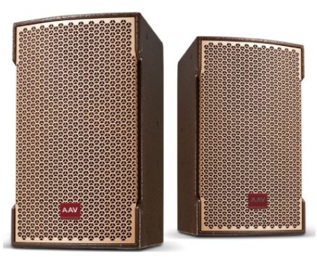 Nên mua loa karaoke của hãng nào?