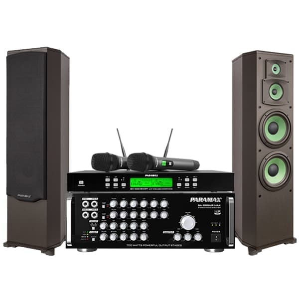 d&agrave;n karaoke paramax