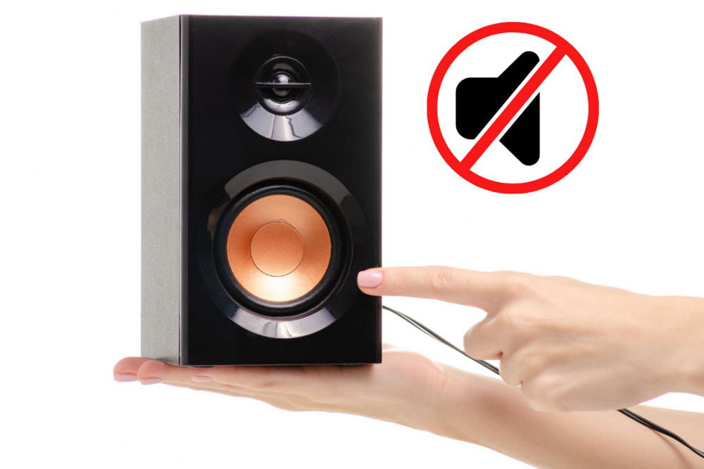 Những lỗi thường gặp khi dùng loa karaoke và cách khắc phục