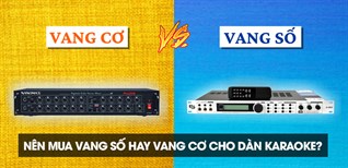 Sự Khác Nhau Giữa Vang Số và Vang Cơ
