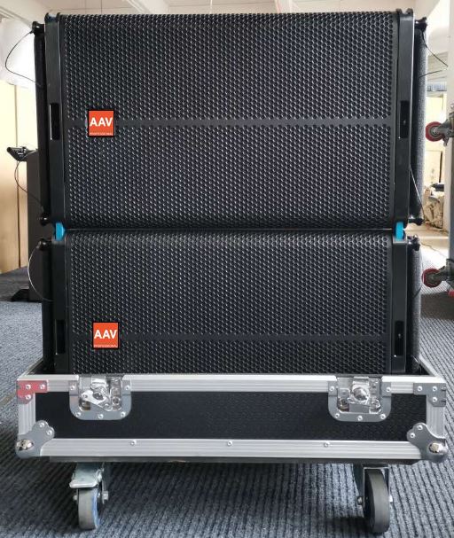 Loa line array bass 30cm AAV  LS-12/SW-18