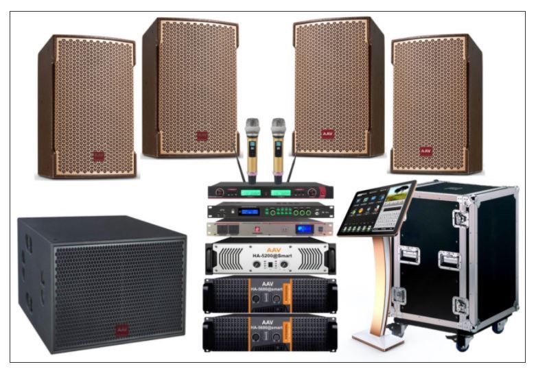 https://vinasound.com/nhung-sai-lam-thuong-gap-khi-su-dung-dan-karaoke-gia-dinh