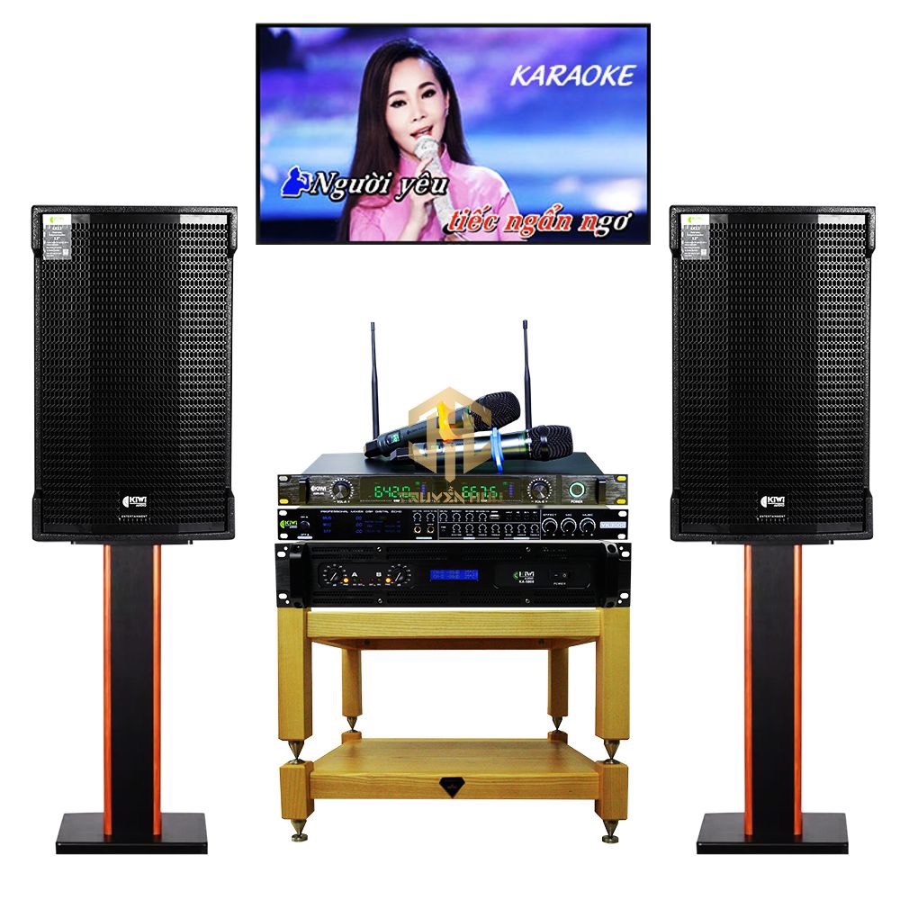 Những sai lầm thường gặp khi sử dụng dàn Karaoke Gia Đình